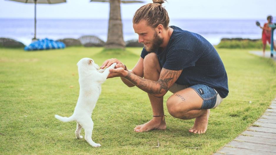 homme et chiot homme et chiot