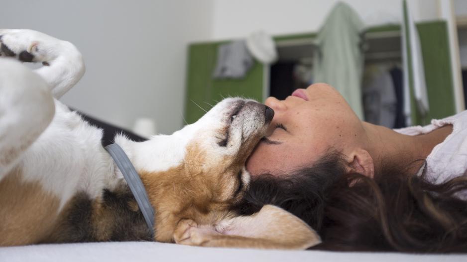 chien et femme chien et femme