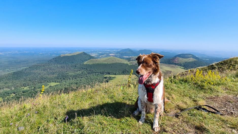 puy de dôme puy de dôme