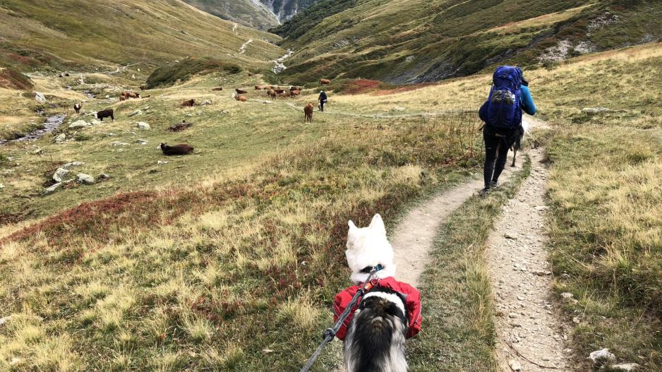 Tour du Mont Blanc