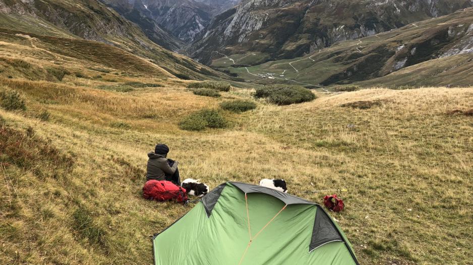 Tour du Mont Blanc