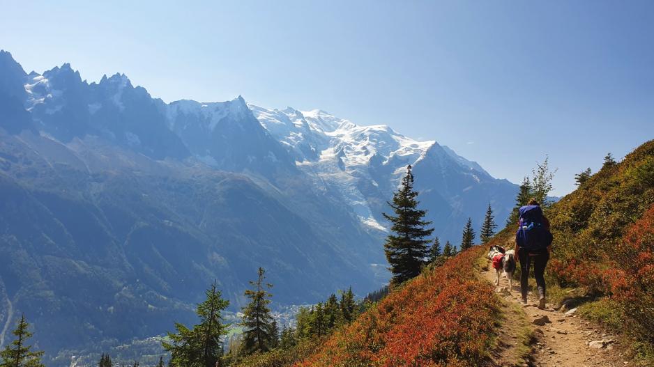 Tour du Mont Blanc