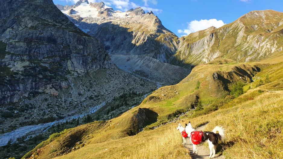 Tour du Mont Blanc