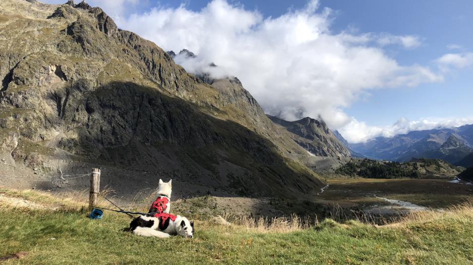 Tour du Mont Blanc