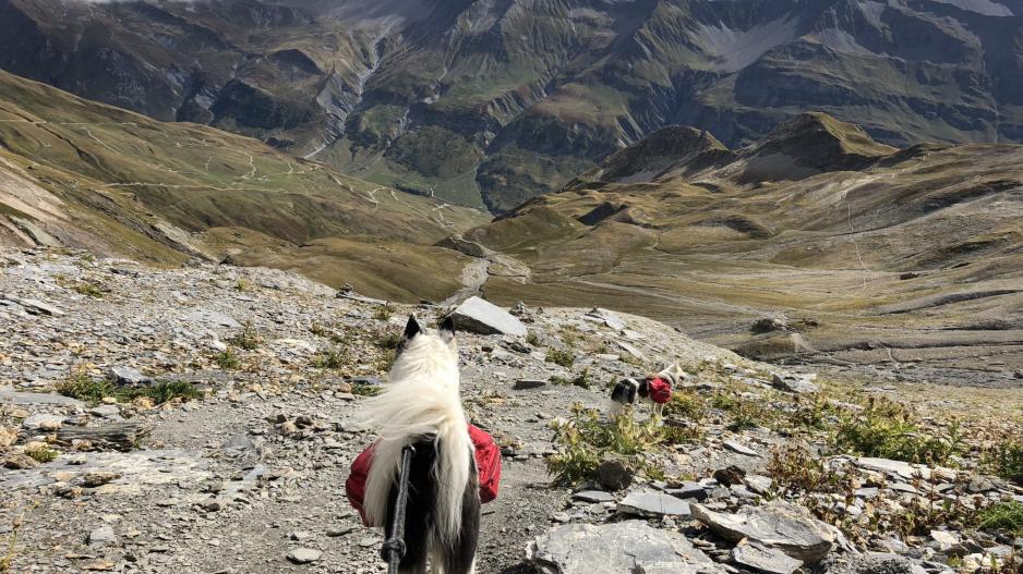 Tour du Mont Blanc