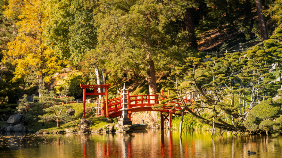 parc maulévrier parc maulévrier