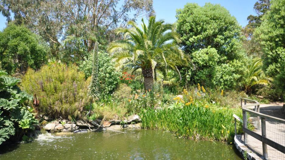 jardin exotique Roscoff jardin exotique Roscoff