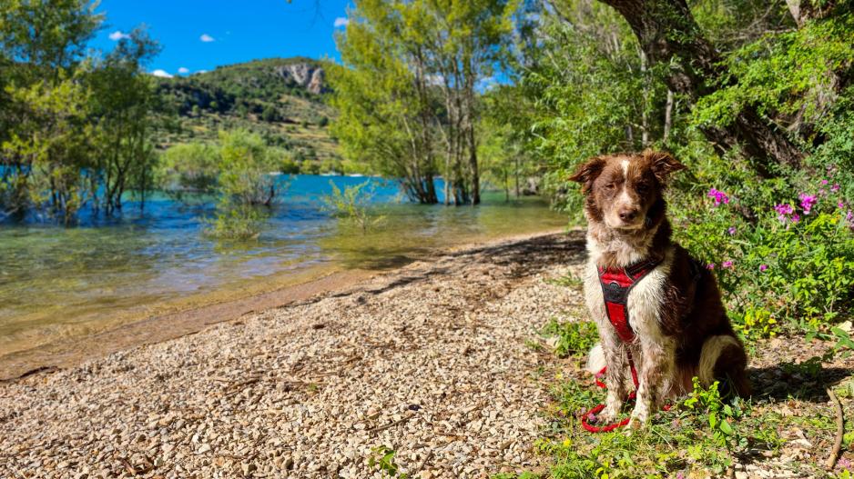 Camping Rives du Lac de Sainte-Croix  Camping Rives du Lac de Sainte-Croix