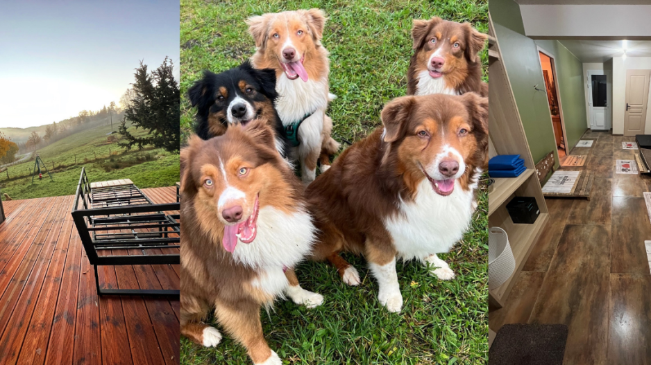Roof n'Woof Roof n'Woof
