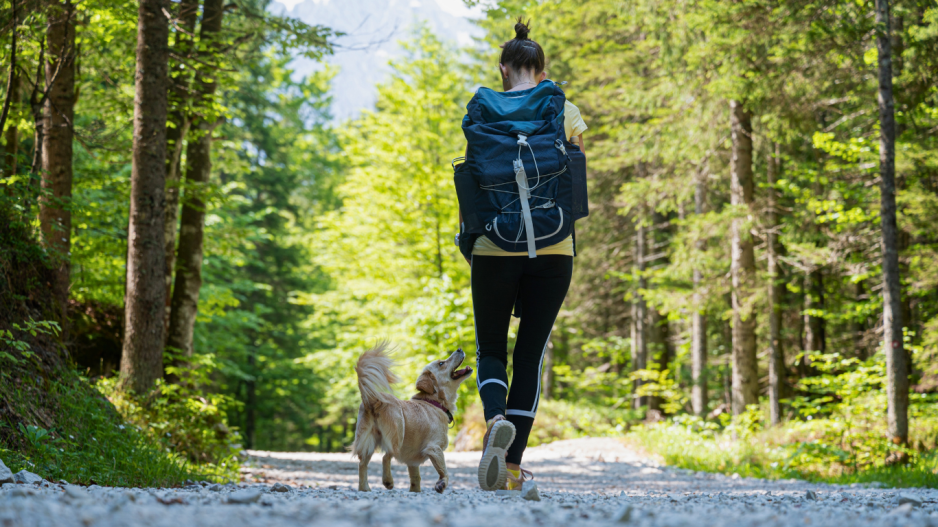 randonnée avec chien randonnée avec chien