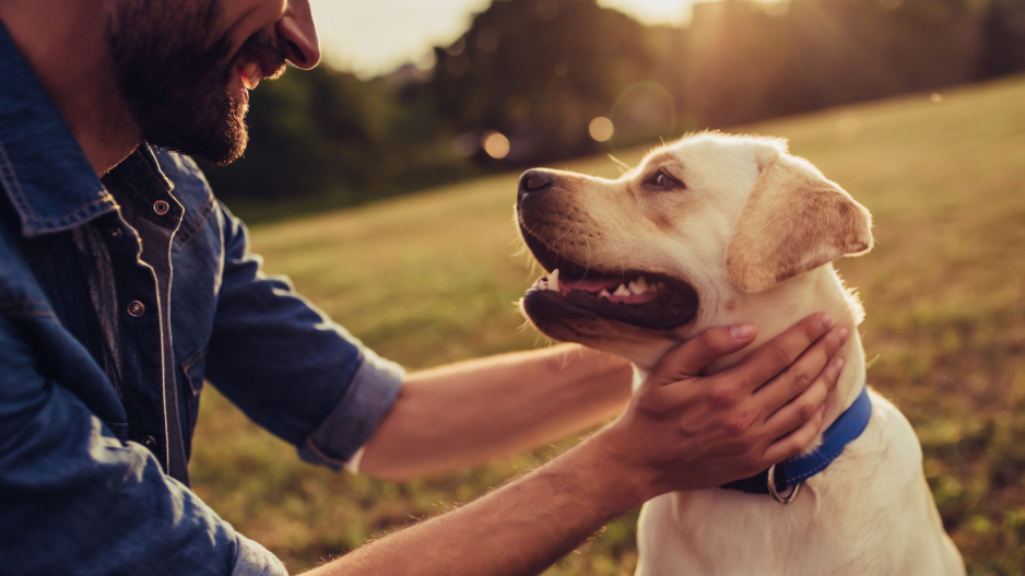 chien et humain chien et humain