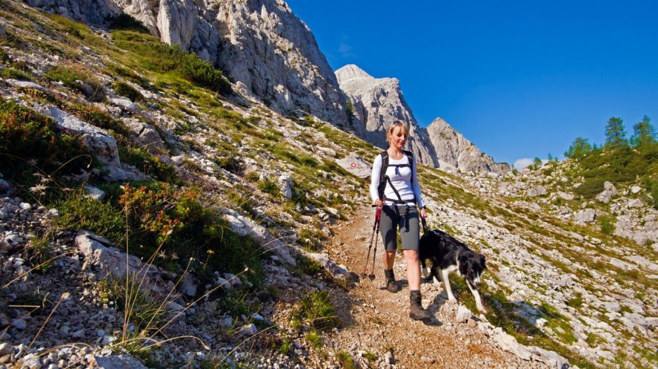 randonnée avec chien randonnée avec chien