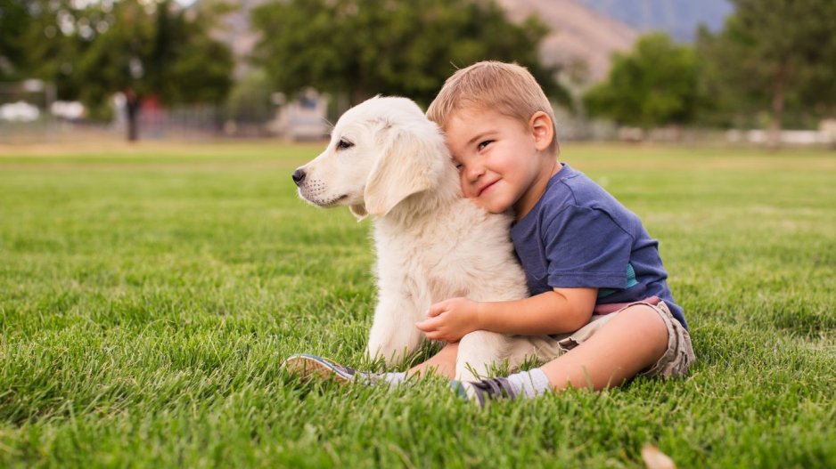 enfant et chiot enfant et chiot