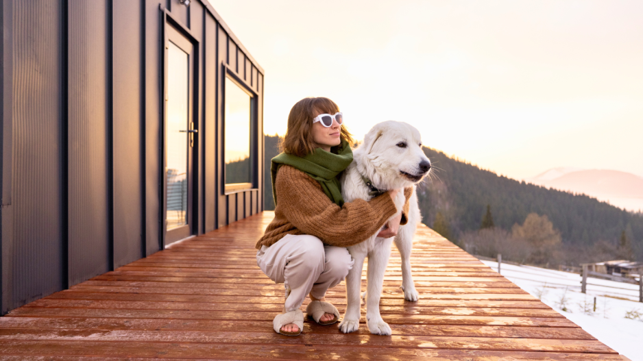 vacances avec chien vacances avec chien