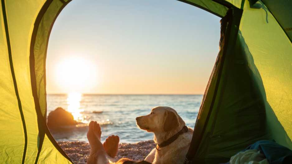 camping bord de mer camping bord de mer
