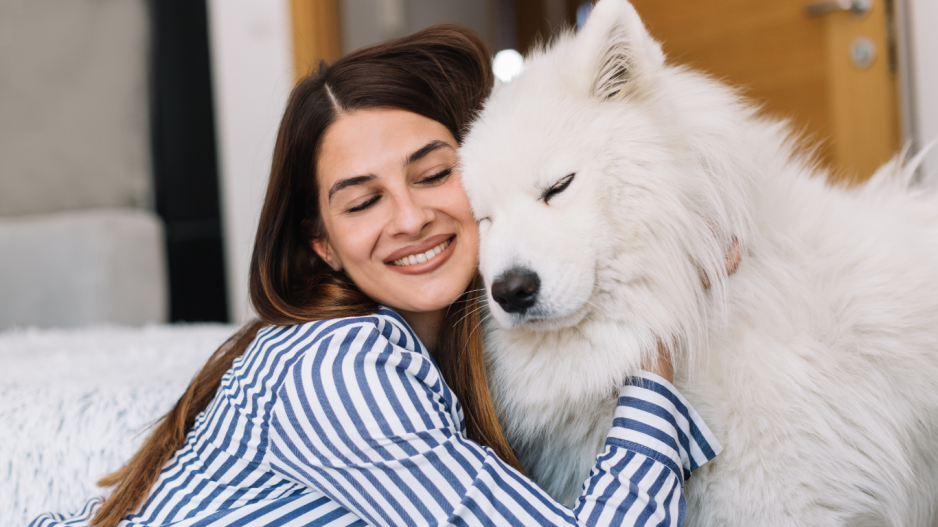 câlin chien câlin chien