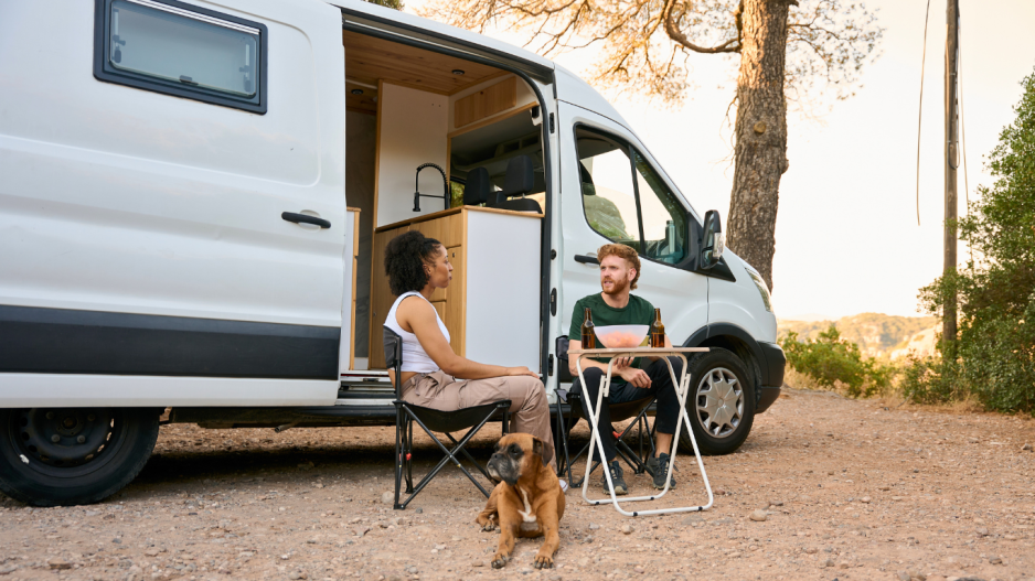 chien camping-car