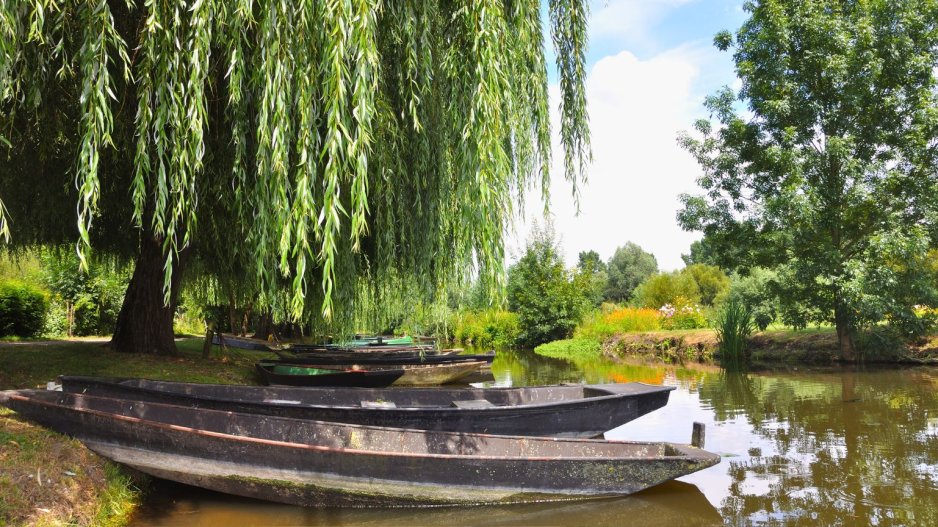 marais poitevin