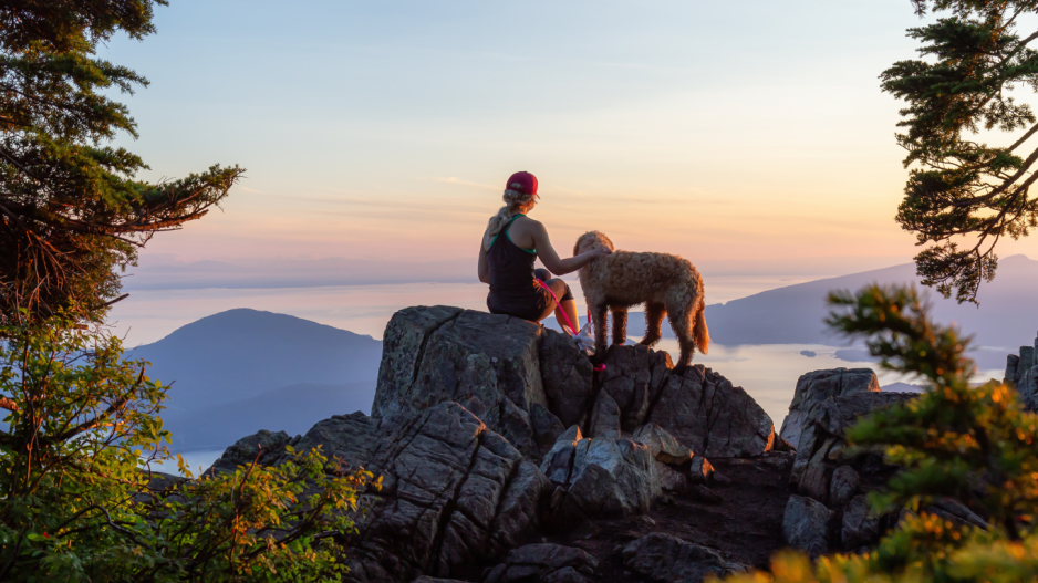 randonnée avec chien