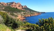 esterel