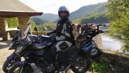 chien à moto