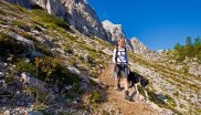 randonnée avec chien