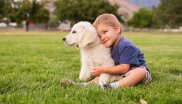 enfant et chiot