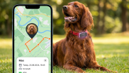 traceur gps